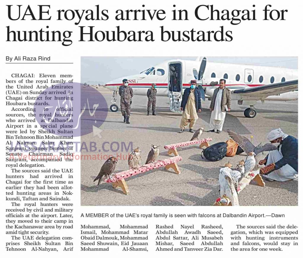 Houbara bustards Hunting in Chagai