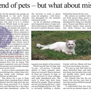 A rising trend of keeping pets in Pakistan and mistreatment with pets in Pakistan 