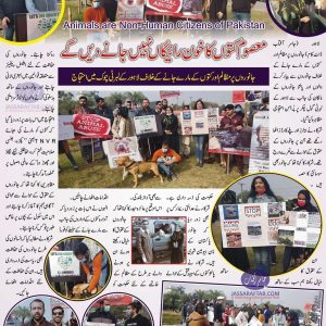 Protest held against animal cruelty at Liberty Lahore by Animal Rights activists |