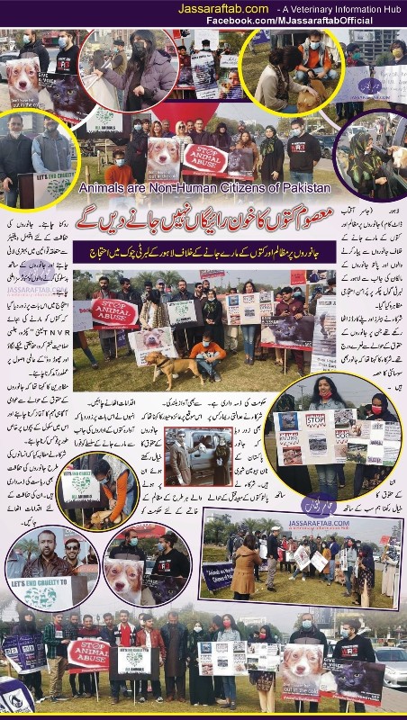 جانوروں پر مظالم اور کتوں کے مارے جانے کے خلاف لاہور کے لبرٹی چوک میں احتجاج