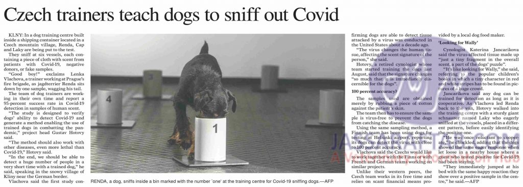Dog Training for Covid diagnosis
