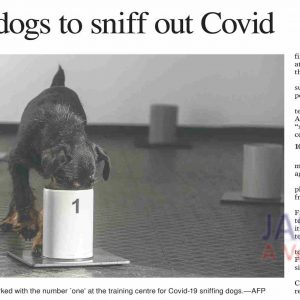 Dog Training for Covid diagnosis