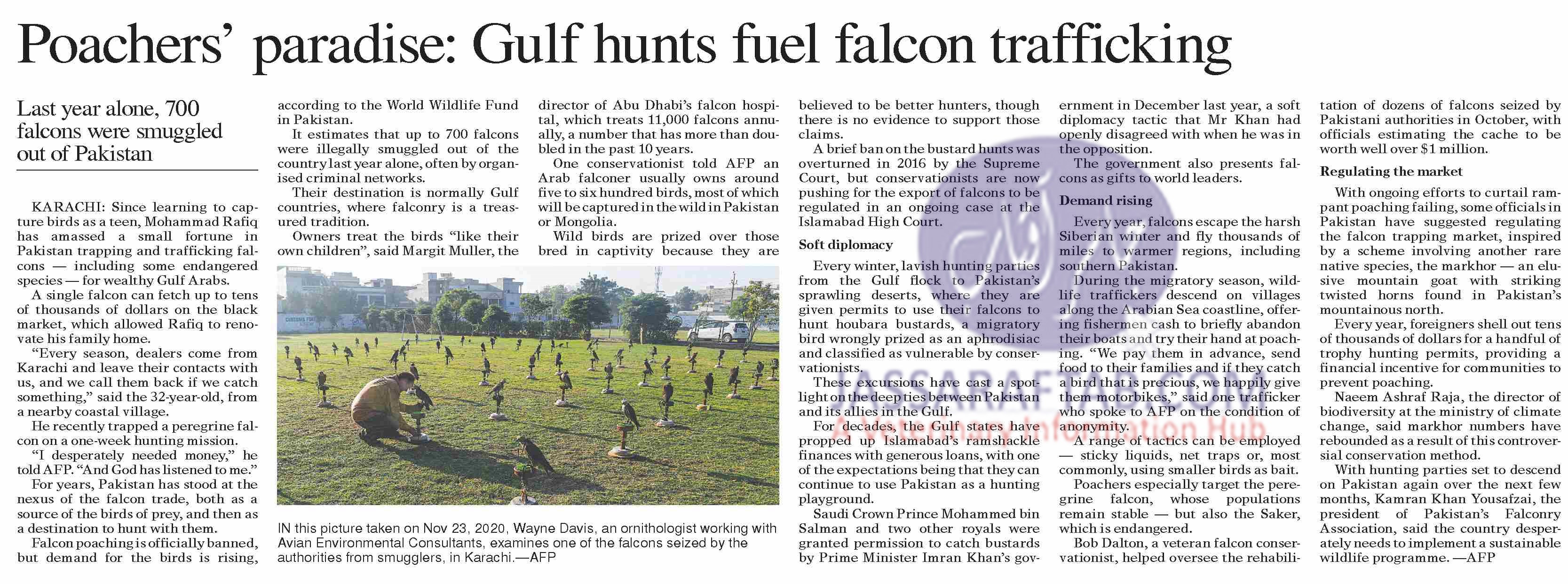 Falcon Trafficking and Falcon Smuggling 