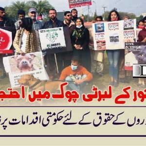 Protest held against animal cruelty in Lahore