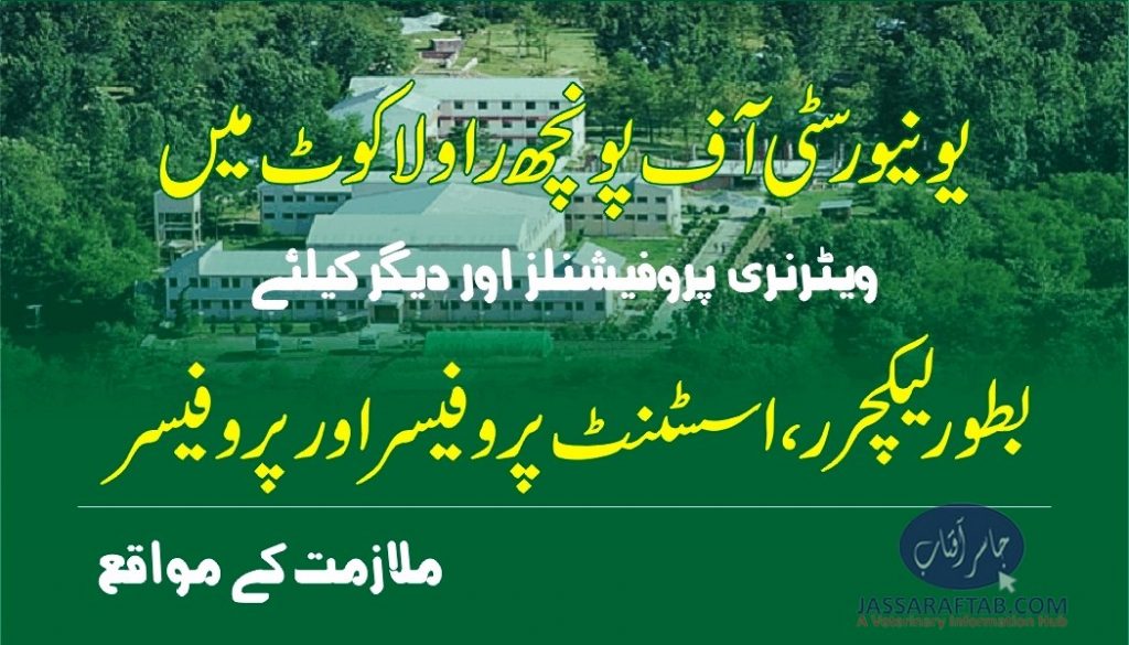 Opportunities for veterinary at University of Poonch Rawalakot