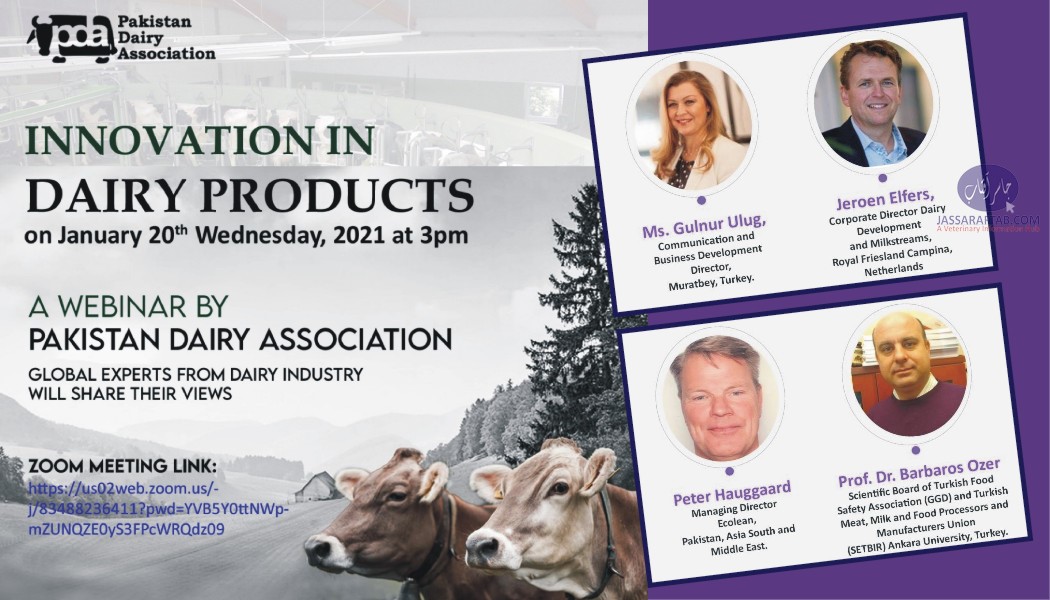 Innovation in dairy processing