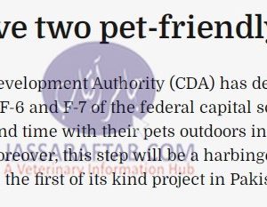 Pet friendly parks in sectors F-6 and E-7