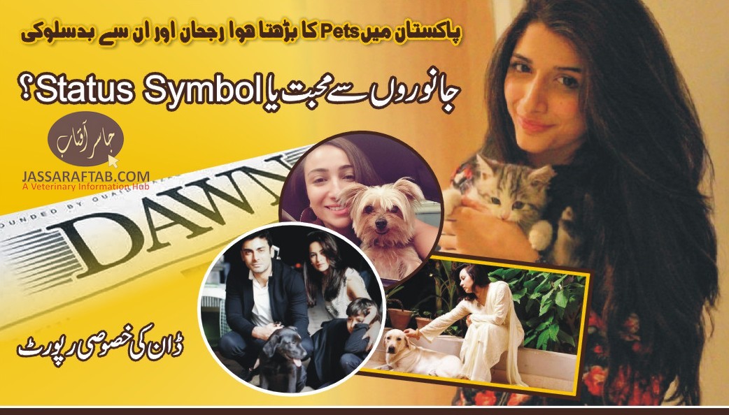 A rising trend of keeping pets in Pakistan