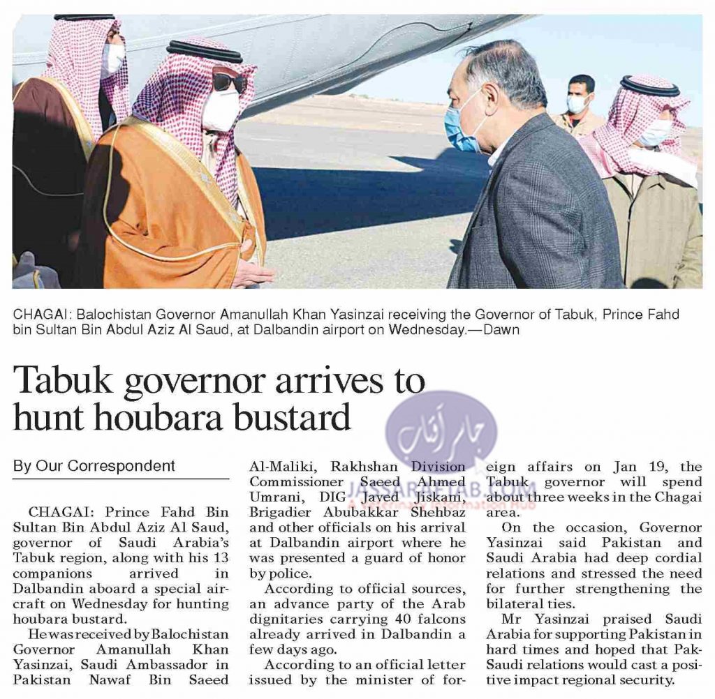 Houbara Bustard Hunting by Tabuk Governor