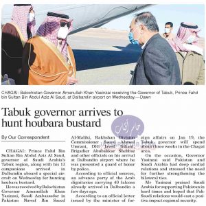 Houbara Bustard Hunting by Tabuk Governor