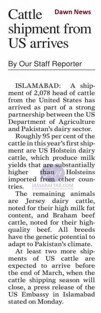 Import of American cow