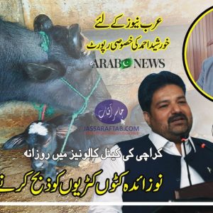 Slaughtering of Calves | Arab News Report on Illegal Slaughtering of newborn calves in Karachi
