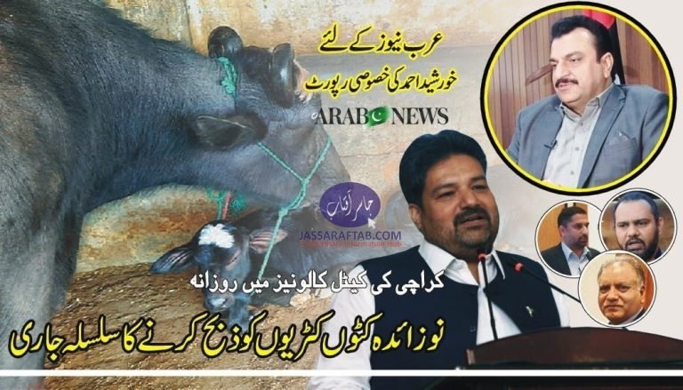 Slaughtering of Calves | Arab News Report on Illegal Slaughtering of newborn calves in Karachi