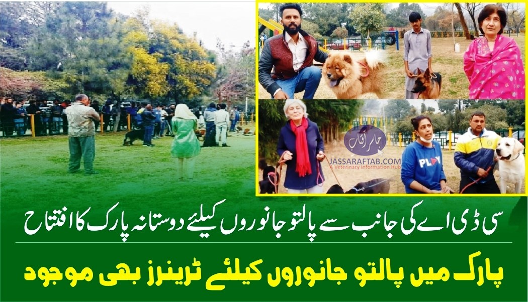 CDA inaugurated Pet Friendly Park in Sector F-6