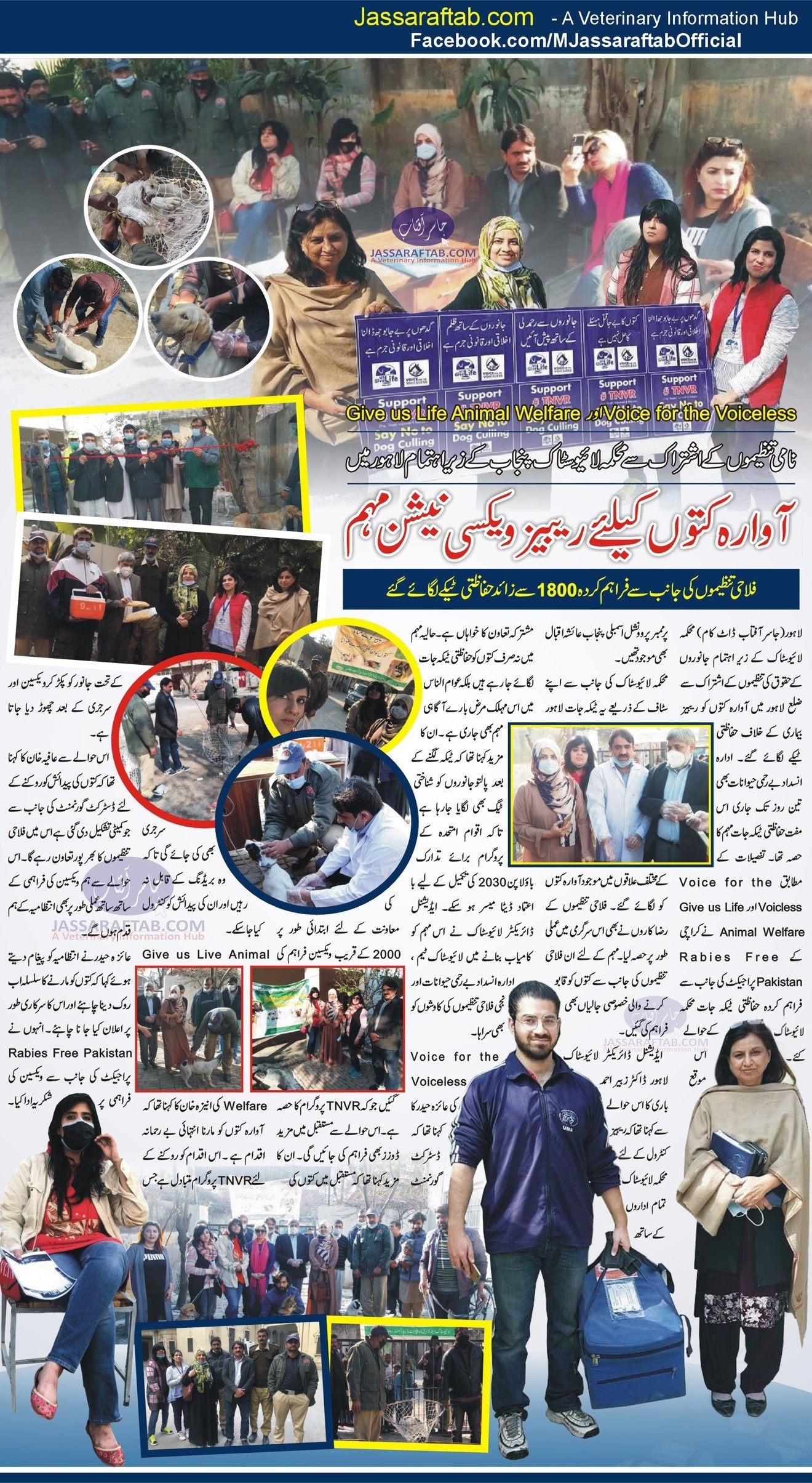 Rabies Vaccination of stray dogs, Rabies Free Pakistan, dog catching training and rabies awareness 