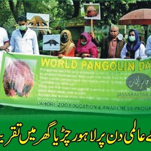 Pangolin day awareness Walk