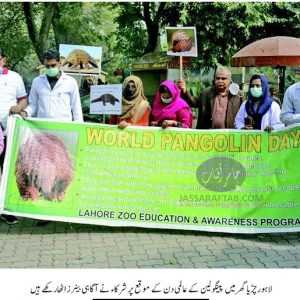 World Pangolin day in Lahore