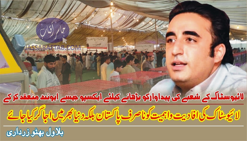 Bilawal Bhutto Zardari at Sindh Livestock Expo