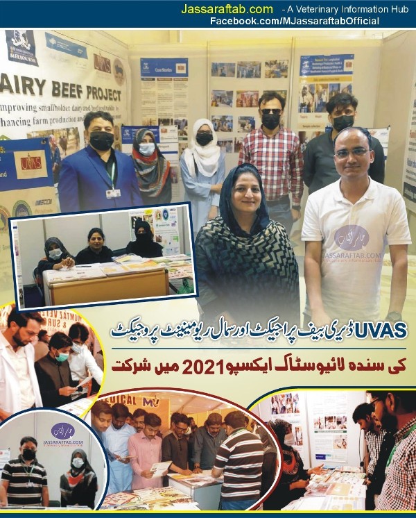 یوواس ڈیری بیف پراجیکٹ اور سمال ریومننٹ پروجیکٹ کی سندھ لائیوسٹاک ایکسپو میں شرکت