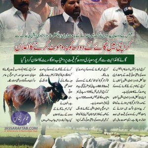 Cow milk sale in karachi