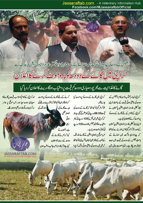 کراچی میں گائے کے دودھ کو پروموٹ کرنے کا اعلان