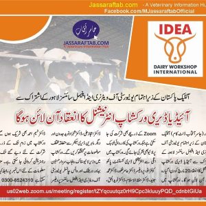 International IDEA Dairy Workshop