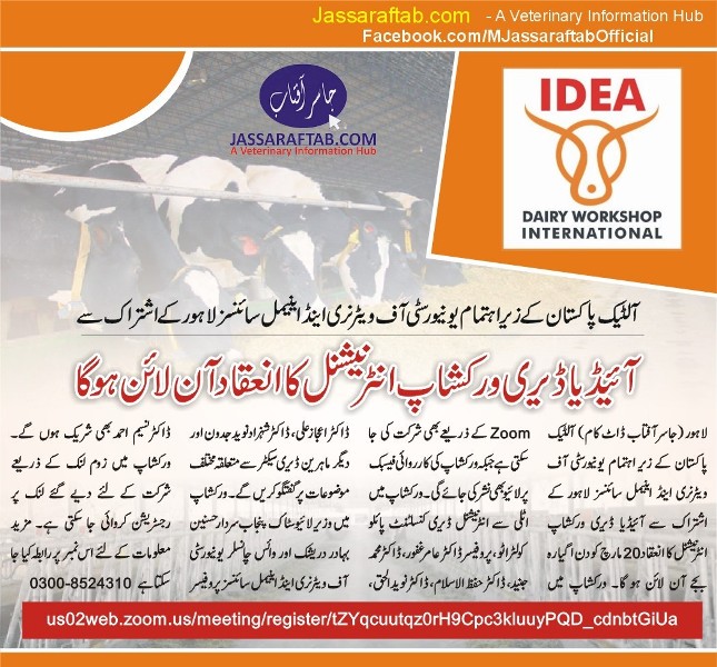 International IDEA Dairy Workshop