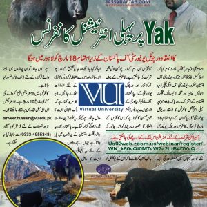 International Yak Conference