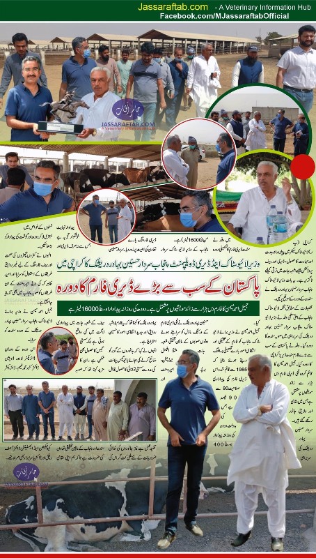 Visit of Largest Dairy farm of Pakistan