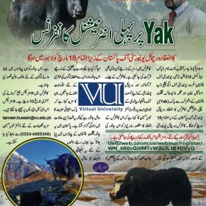 international Conference on Yak
