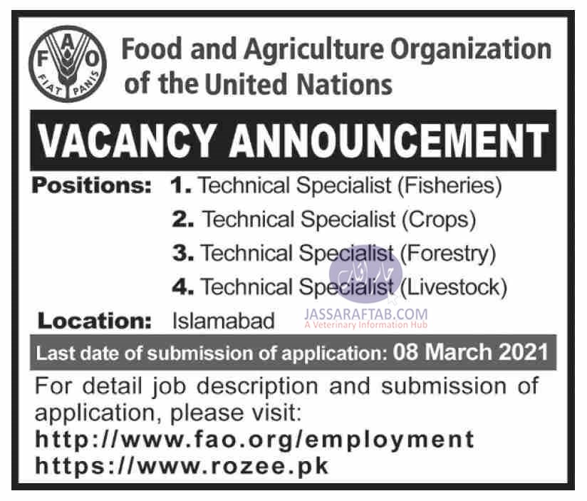 Opportunities for veterinary professionals at FAO