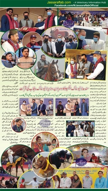 سندھ لائیوسٹاک ایکسپو کا دوسرا دن ، وزیرلائیوسٹاک پنجاب کی شرکت