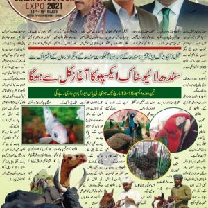 Pre Expo Report of Sindh livestock expo