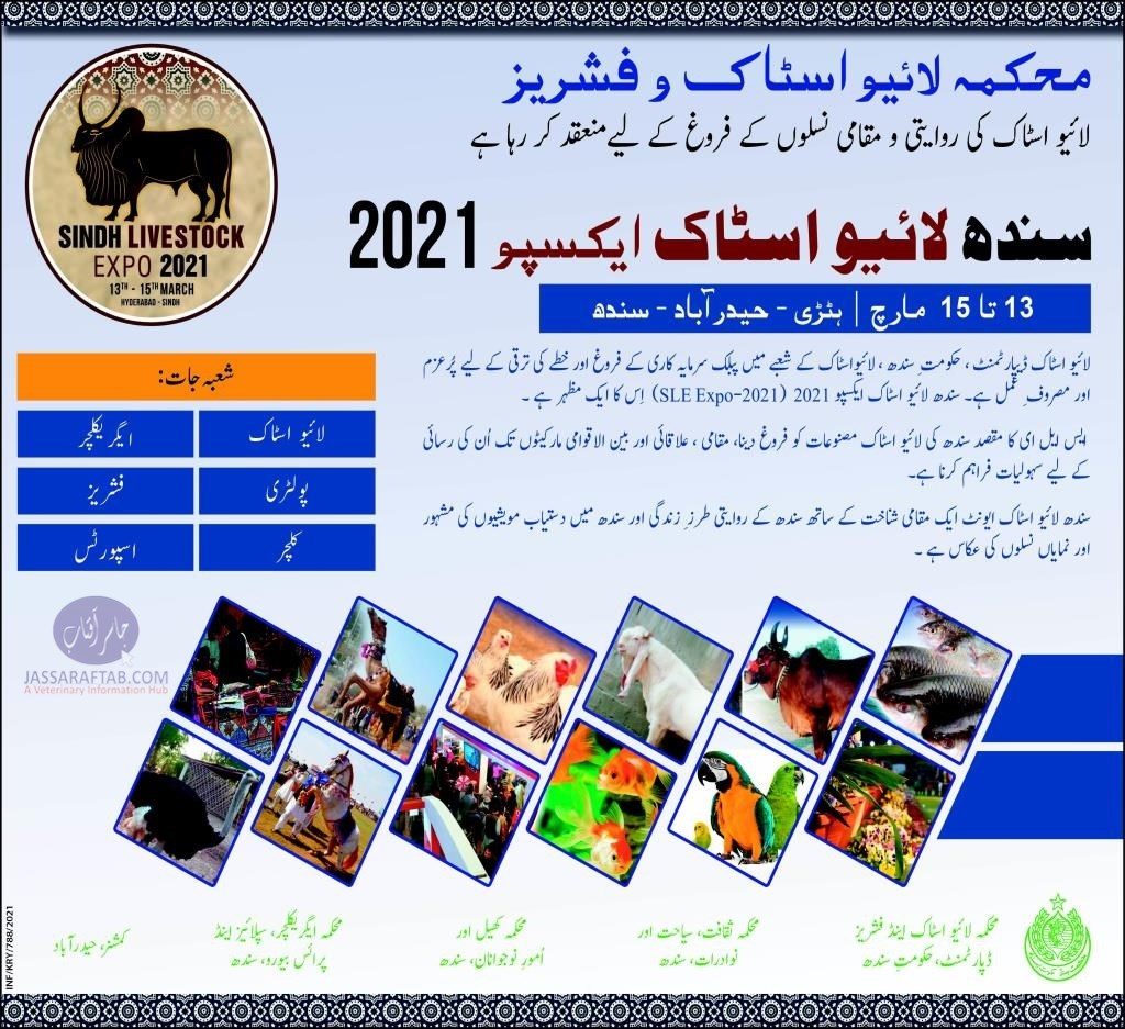 Ad of Sindh Livestock Expo