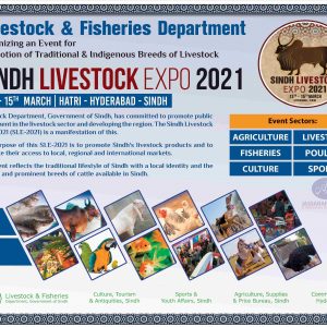 Sindh Livestock Expo Ad