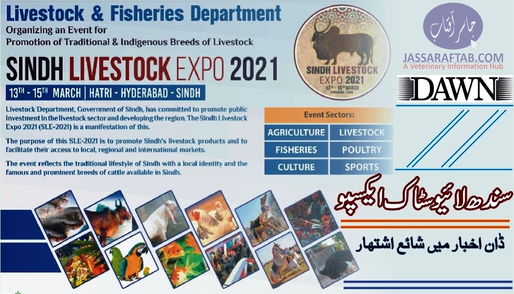 Dawn News Ad of Sindh Livestock Expo