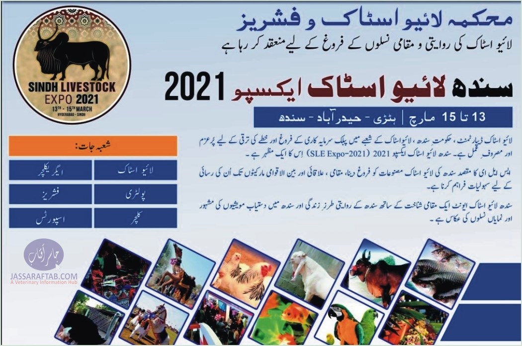 سندھ لائیوسٹاک ایکسپو 2021 –13تا15 مارچ