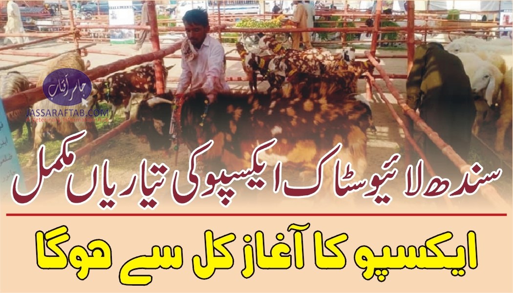 Sindh livestock expo 2021 will start from tomorrow