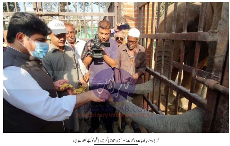 Syed Nasir Hussain Shah visited Karachi Zoo | وزیربلدیات وجنگلات سندھ کا کراچی چڑیا گھر کا دورہ