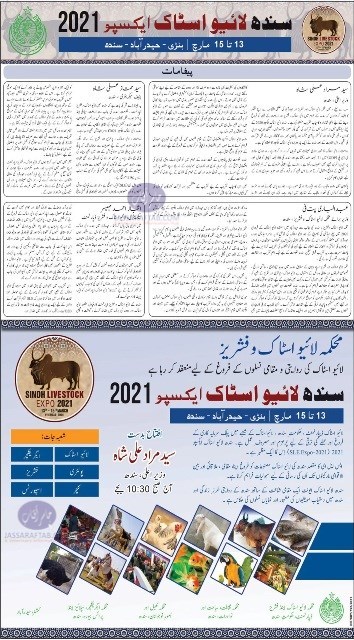 سپیشل ایڈیشن — سندھ لائیوسٹاک ایکسپو2021