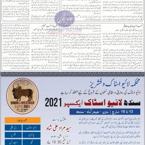 Special edition Sindh Livestock Expo