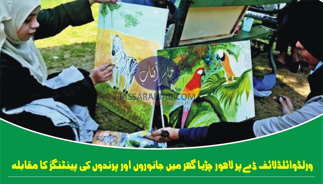 Zoo Painting Competition on Wildlife Day