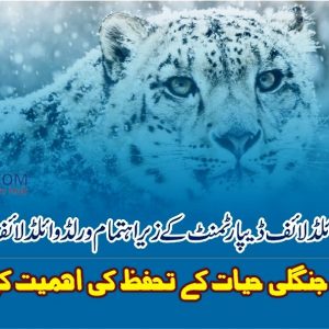 World wildlife day celebrated at Peshawar University