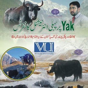 Research on Yak