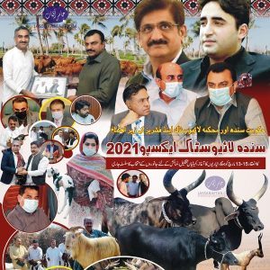 Sindh Livestock Expo 2021
