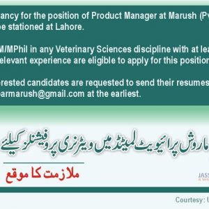 Marush International Job