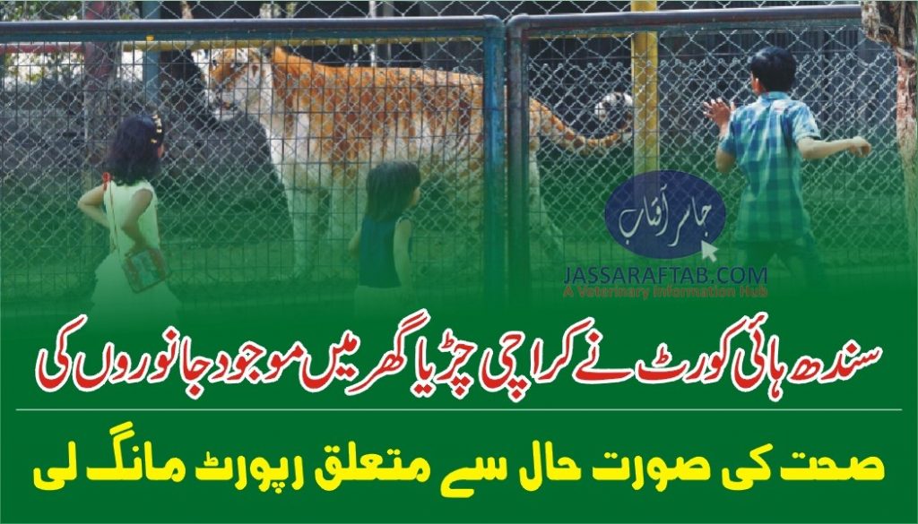 Karachi zoo