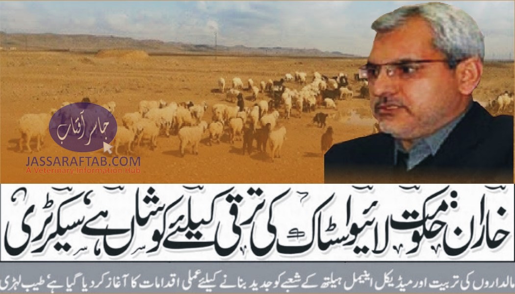 حکومت لائیوسٹاک کی ترقی کیلئے کوشاں ہے ،سیکرٹری لائیوسٹاک بلوچستان