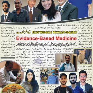 Evidence Based Medicine in veterinary practice