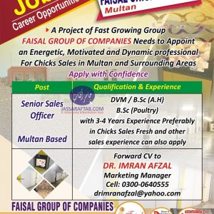 Faisal Chicks Jobs